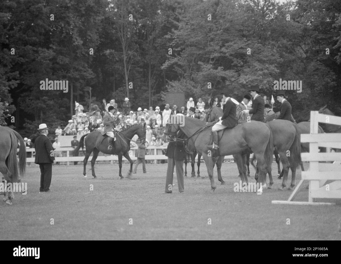Horse show in Westport, Connecticut, between 1911 and 1942. Stock Photo