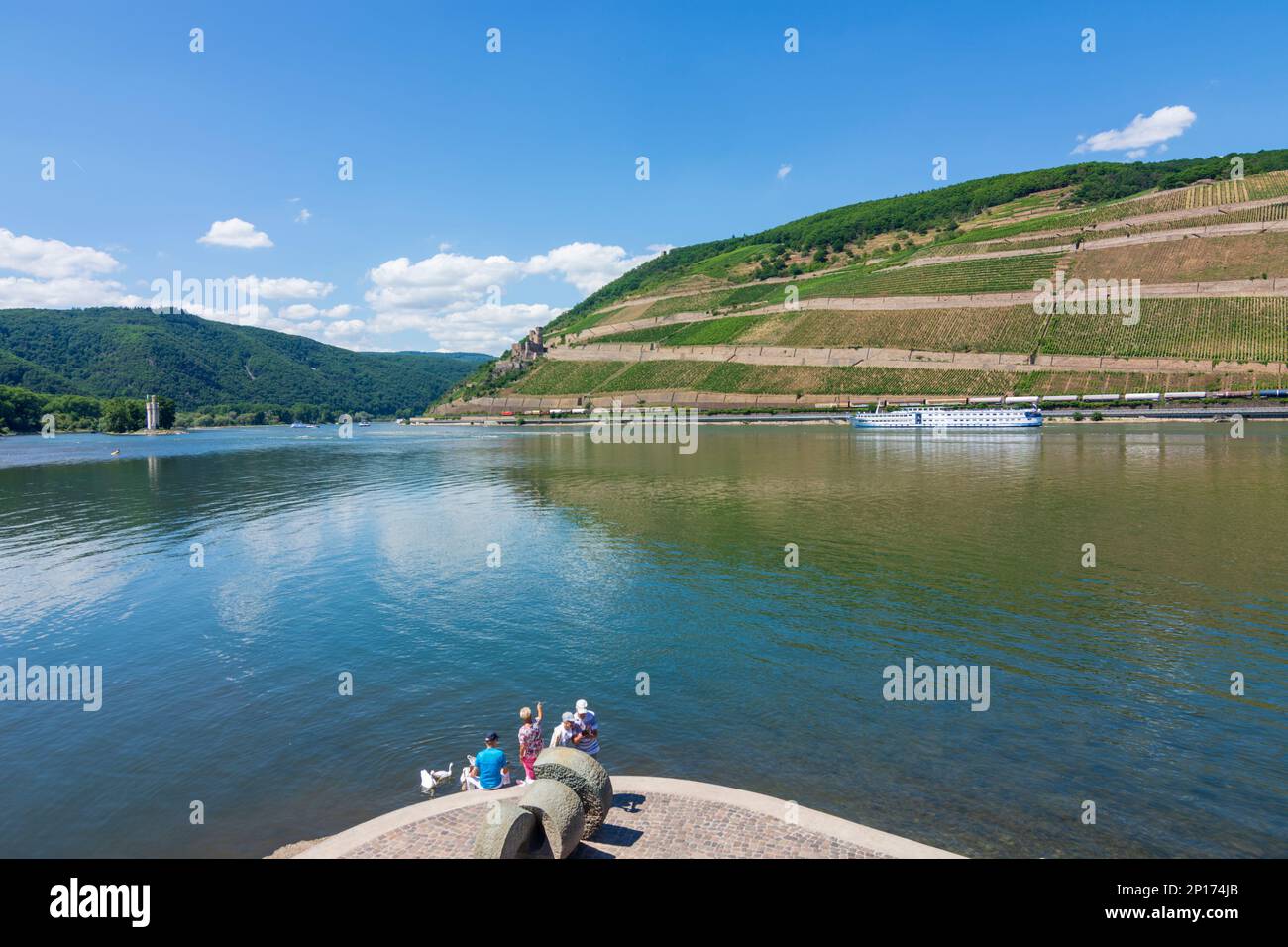 Bingen am Rhein: confluence of river Nahe (left) and Rhein (Rhine ...
