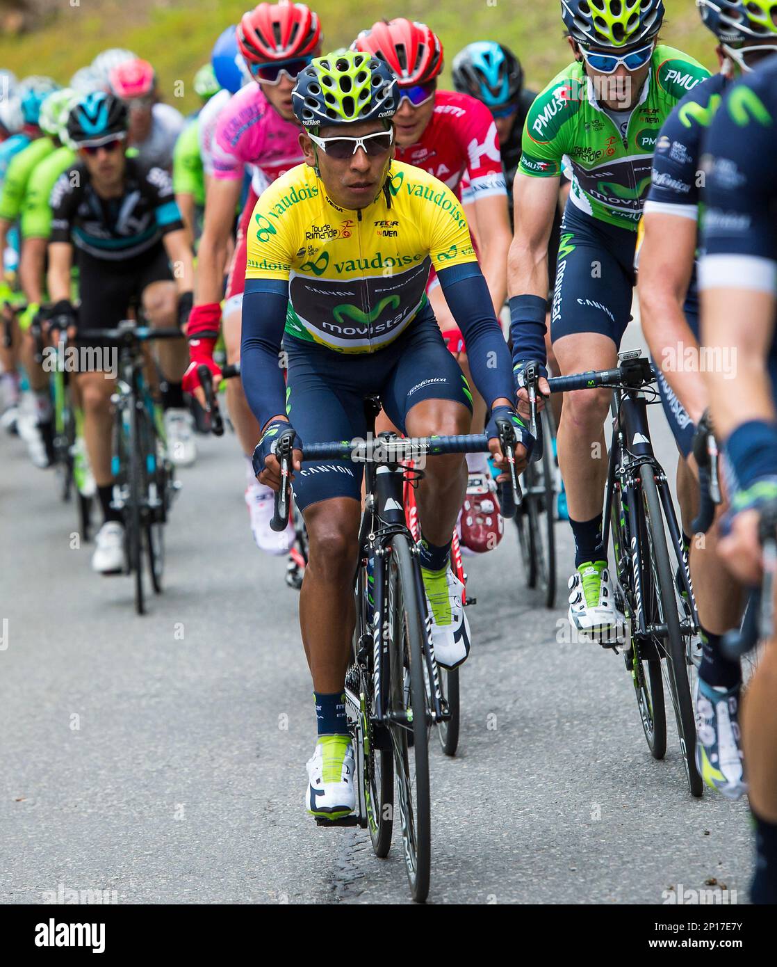 FILE - In this file photo dated Saturday, April 30, 2016, the overall  leader Nairo Quintana from Colombia of team Movistar, in yellow jersey,  rides with the pack during the 70th Tour