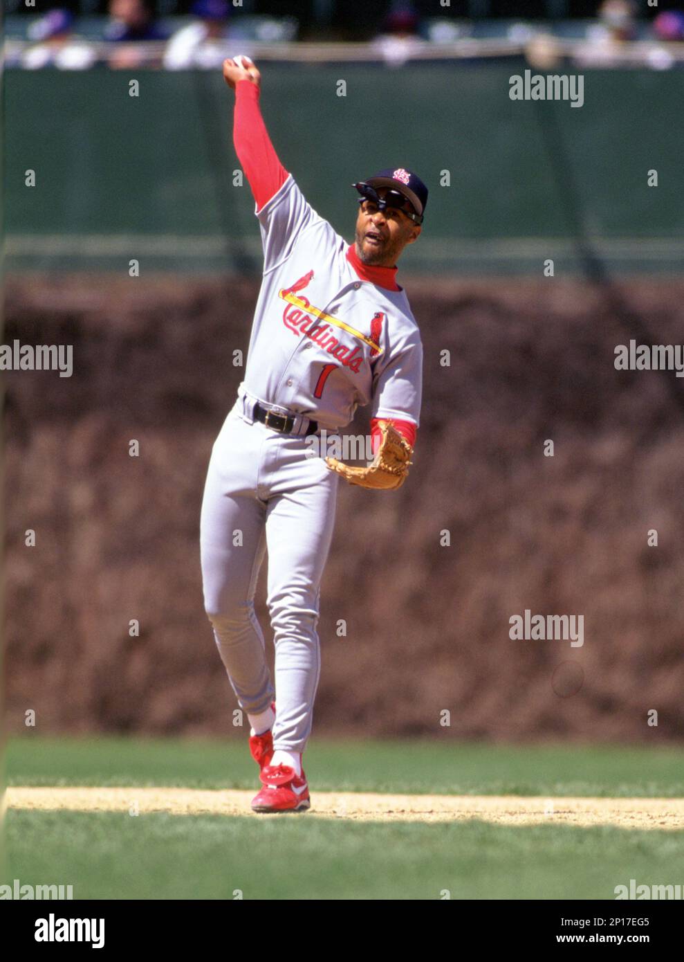 St. Louis Cardinals Ozzie Smith(1) in action during a game from his 1983  season. Ozzie Smith played for 19 years with 2 different teams and was a  15-time All-Star and was inducted