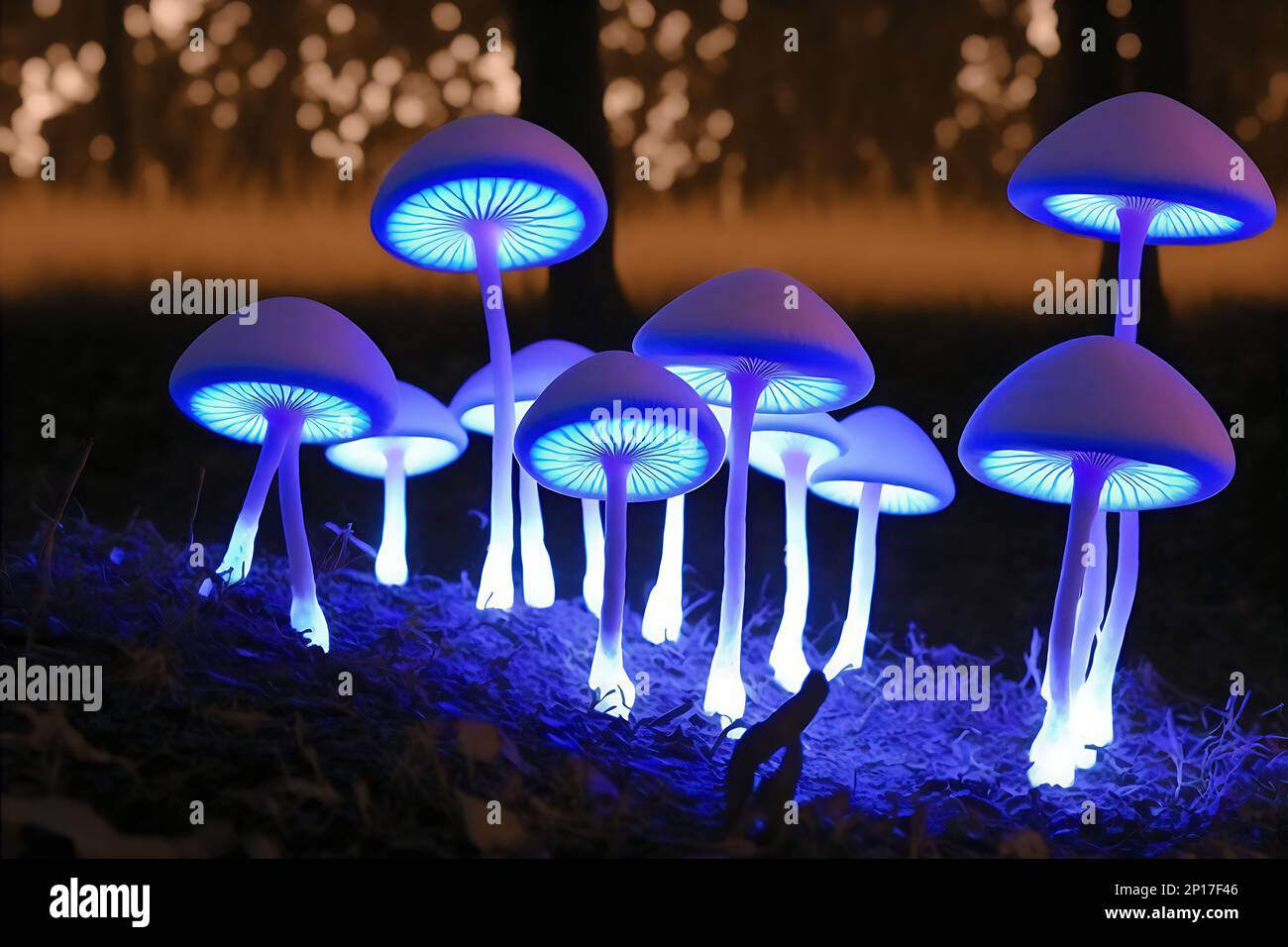 Magical psychedelic Fluorescent mushrooms of purple color grow in the