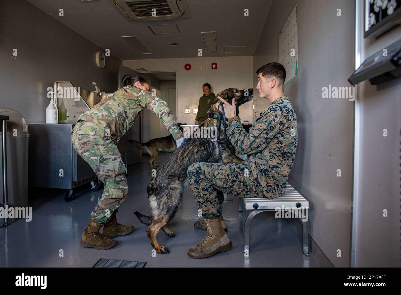 u-s-army-sgt-monica-laverdure-left-an-animal-care-specialist-with