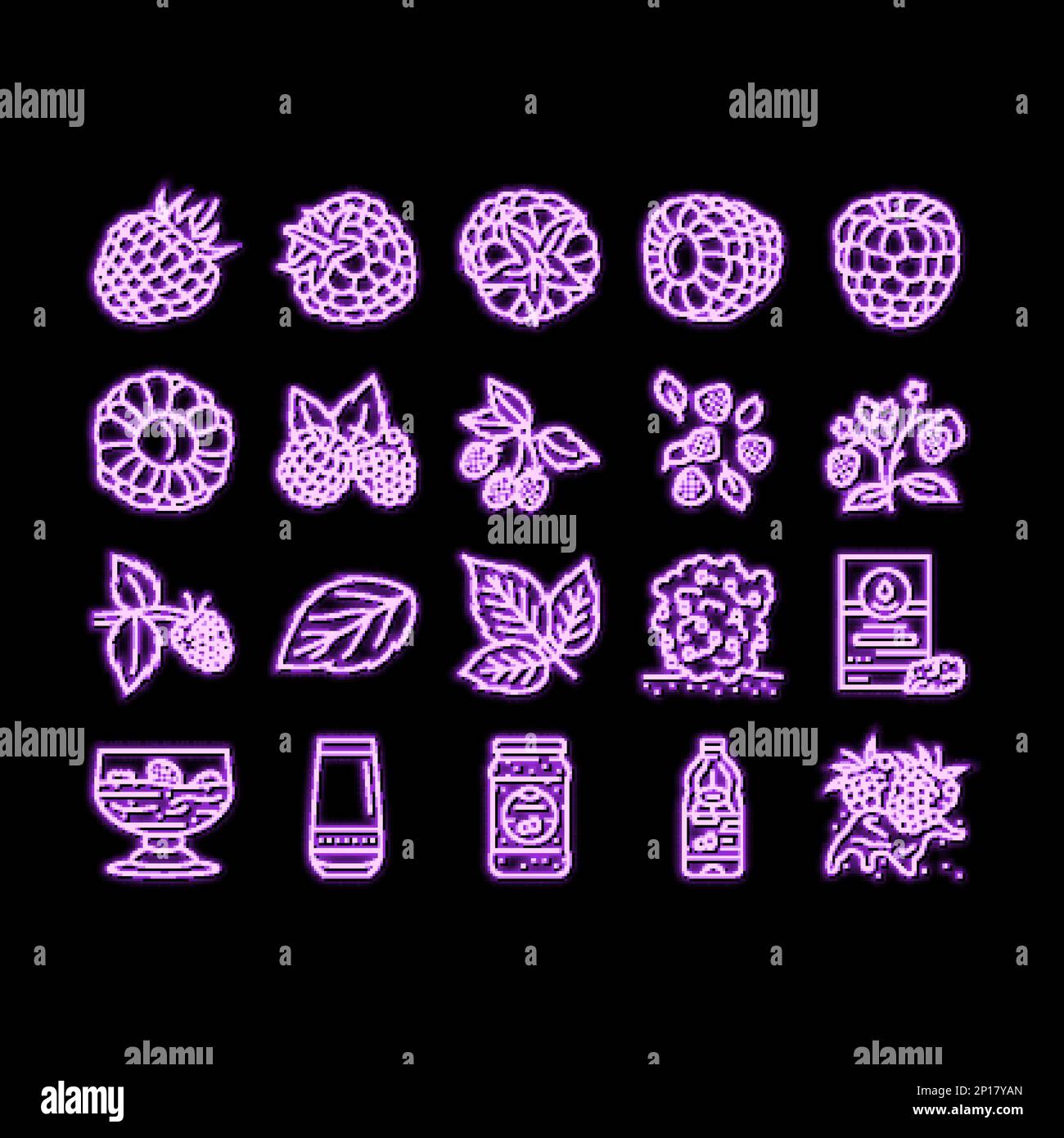 raspberry fruit berry red food neon glow icon illustration Stock Vector ...