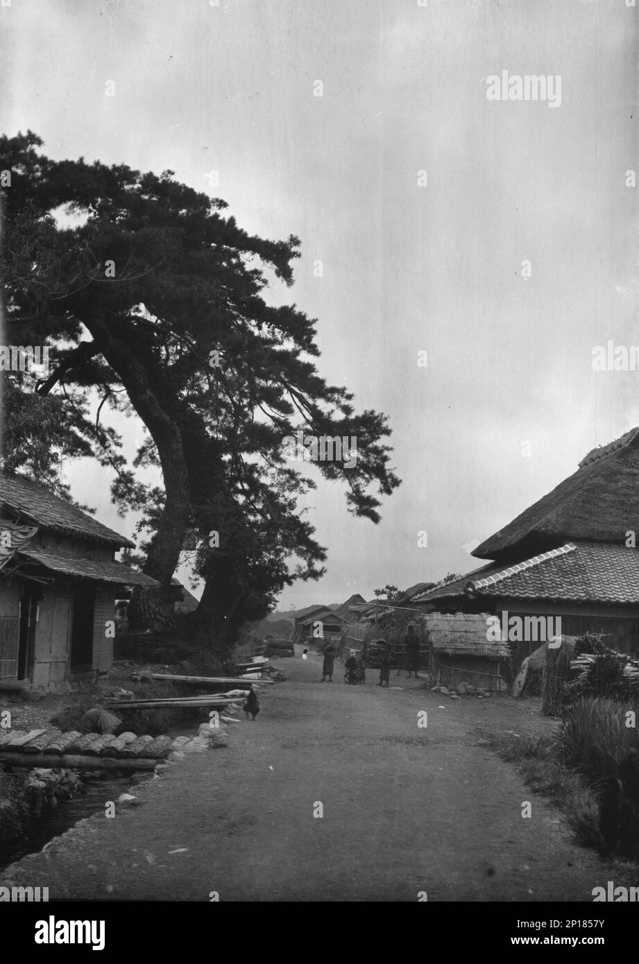 Travel views of Japan and Korea, 1908 Stock Photo Alamy