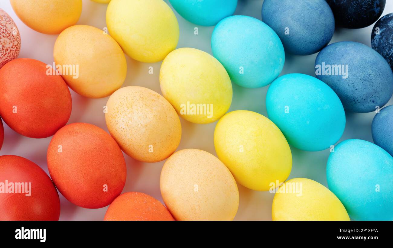 Easter rainbow colored eggs background. Colored eggs are laid out in a