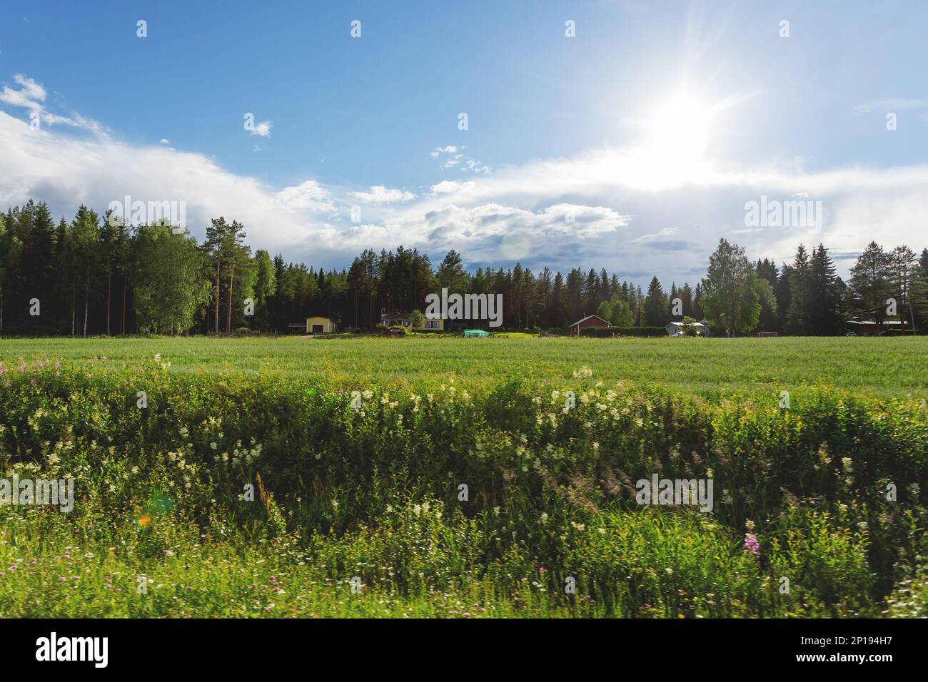 Beautiful scandinavian landscape with meadows and village. Rovaniemi, Finland. Stock Photo