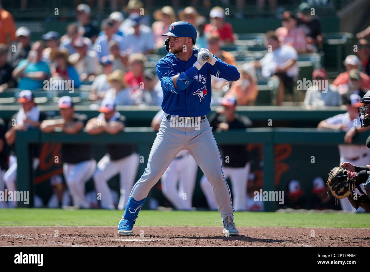 Toronto Blue Jays Zach Britton (74) bats during a spring training baseball game against the