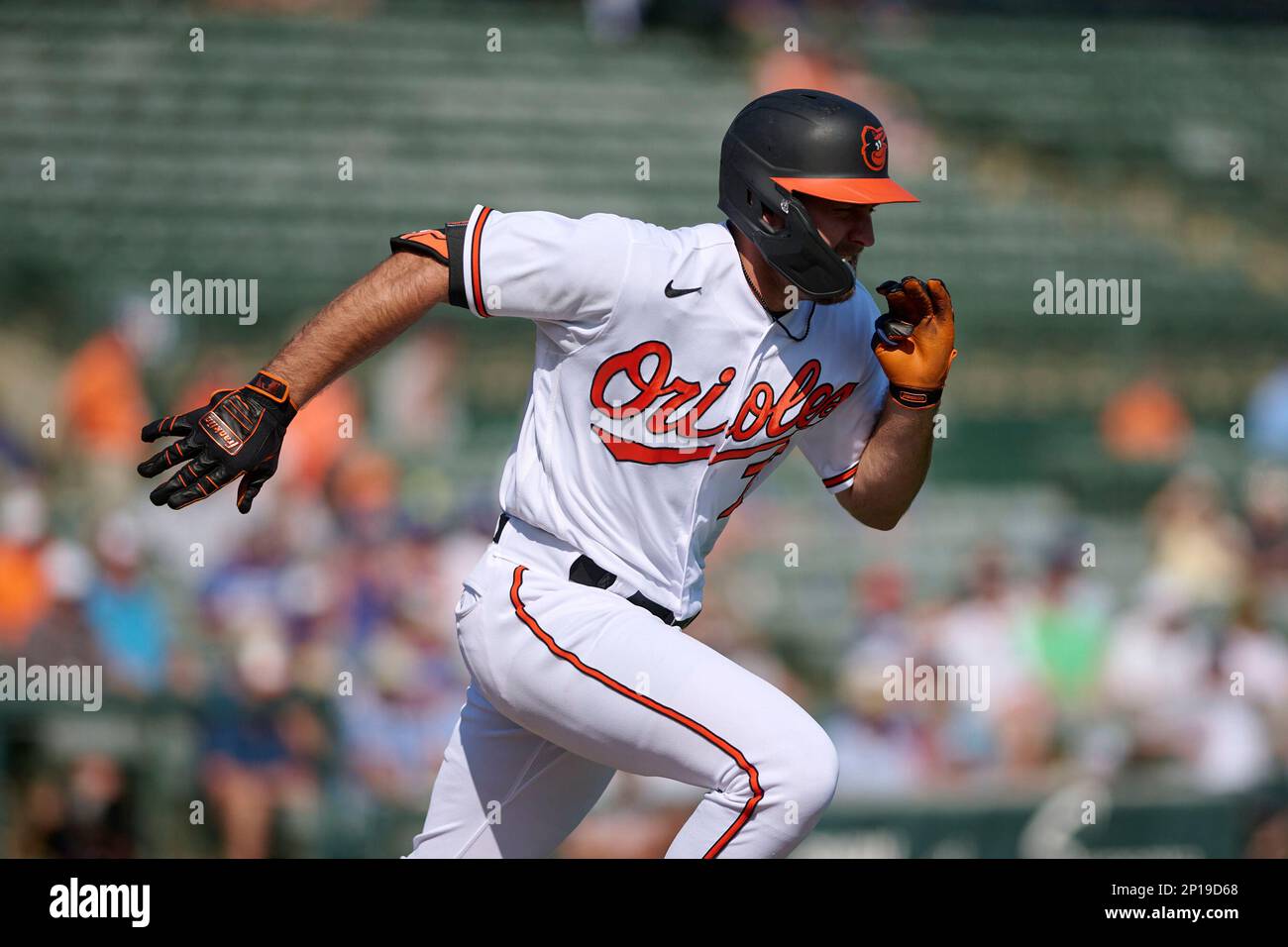 Baltimore Orioles Colton Cowser (76) rounds first base during a spring  training baseball game against the Pittsburgh Pirates on March 8, 2023 at  Ed Smith Stadium in Sarasota, Florida. (Mike Janes/Four Seam