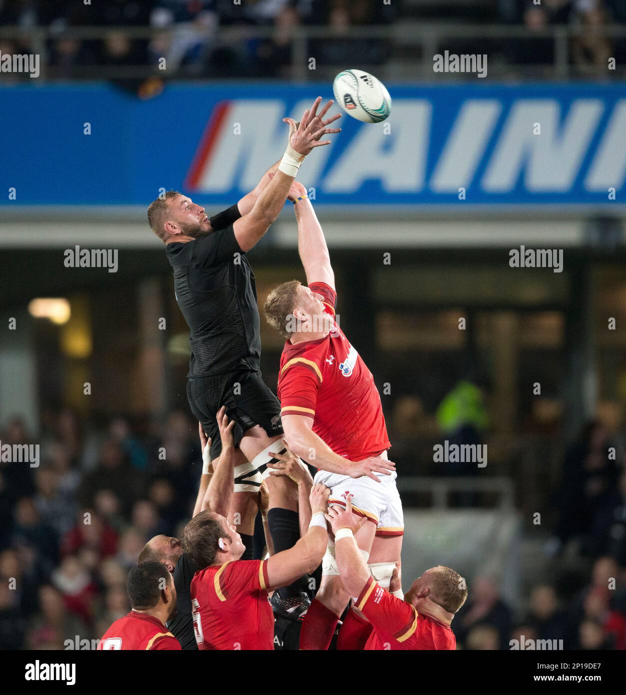 New zealand 2024 herald rugby