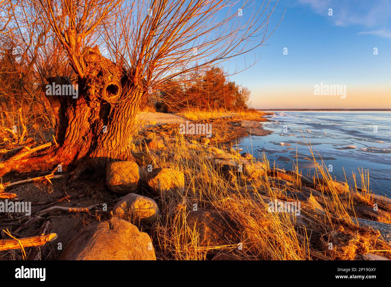 vistula-lagoon-hi-res-stock-photography-and-images-alamy