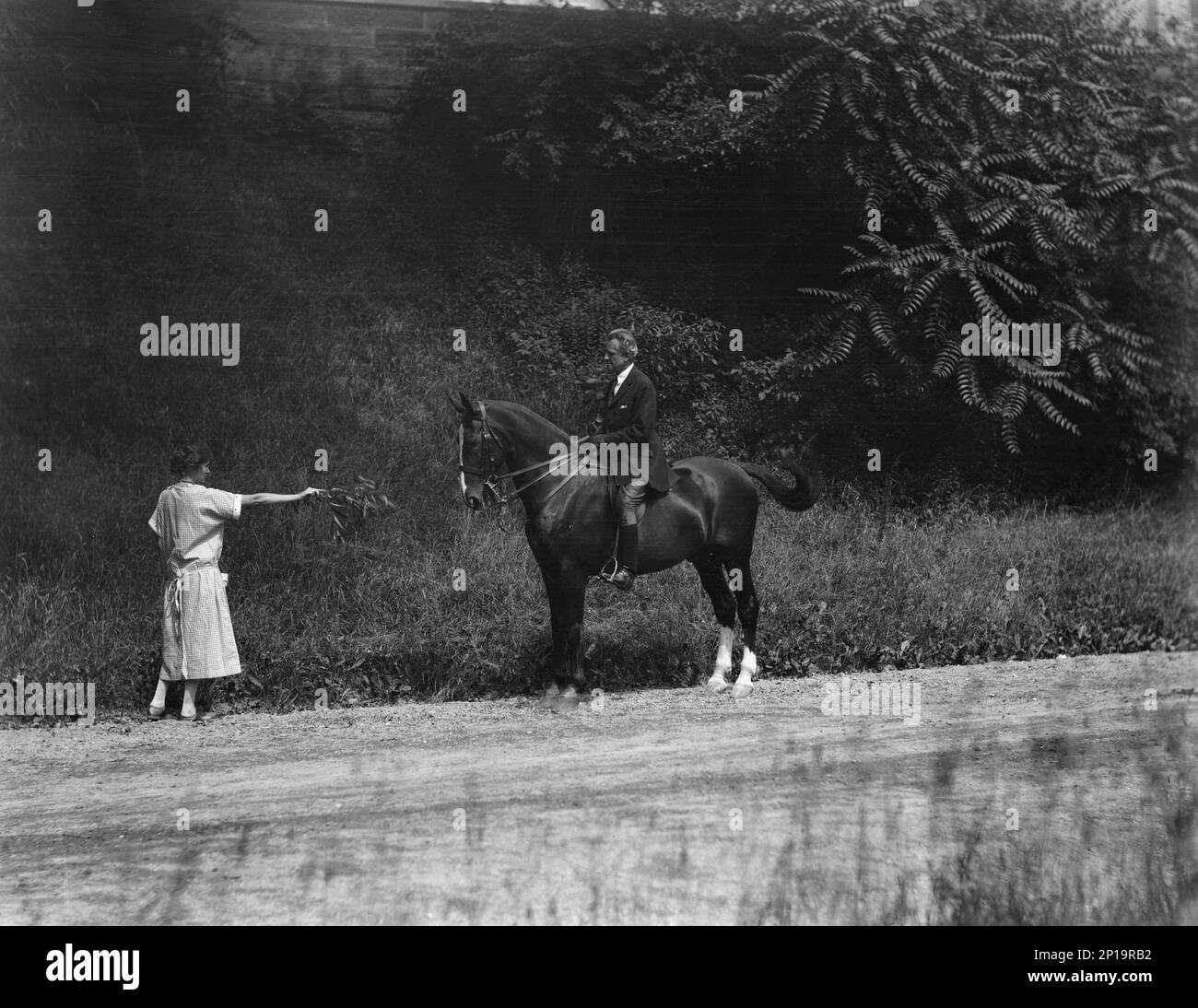 Arnold Genthe riding Chesty, between 1911 and 1936. Stock Photo