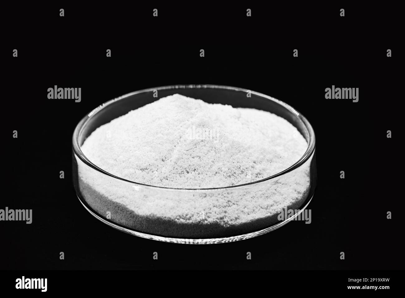 Lactose Monohydrate, is the sugar present in milk and its derivatives