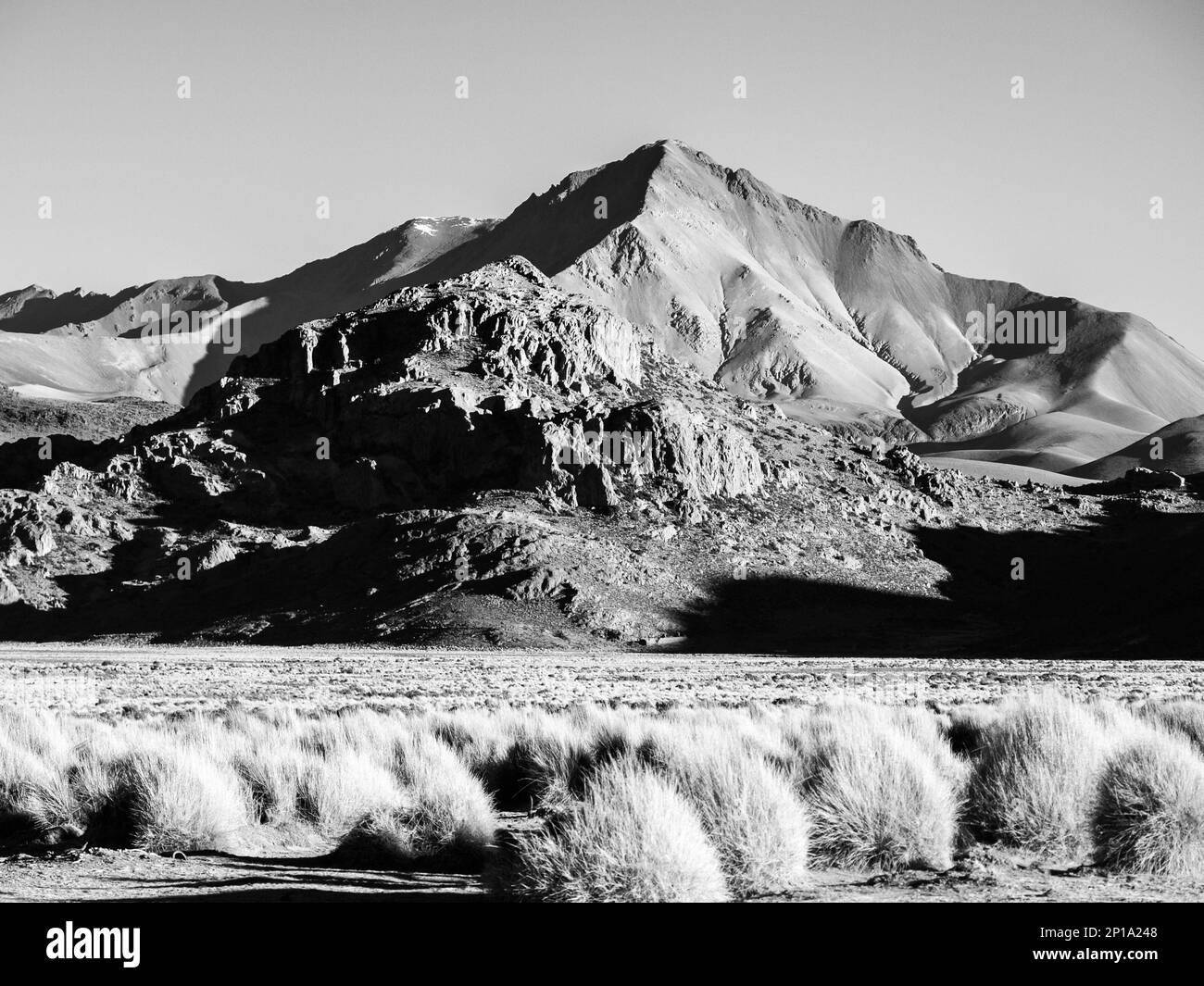 High peaks and typical grass clumps in Cordillera de Lipez in southern bolivian Altiplano, black and white image Stock Photo