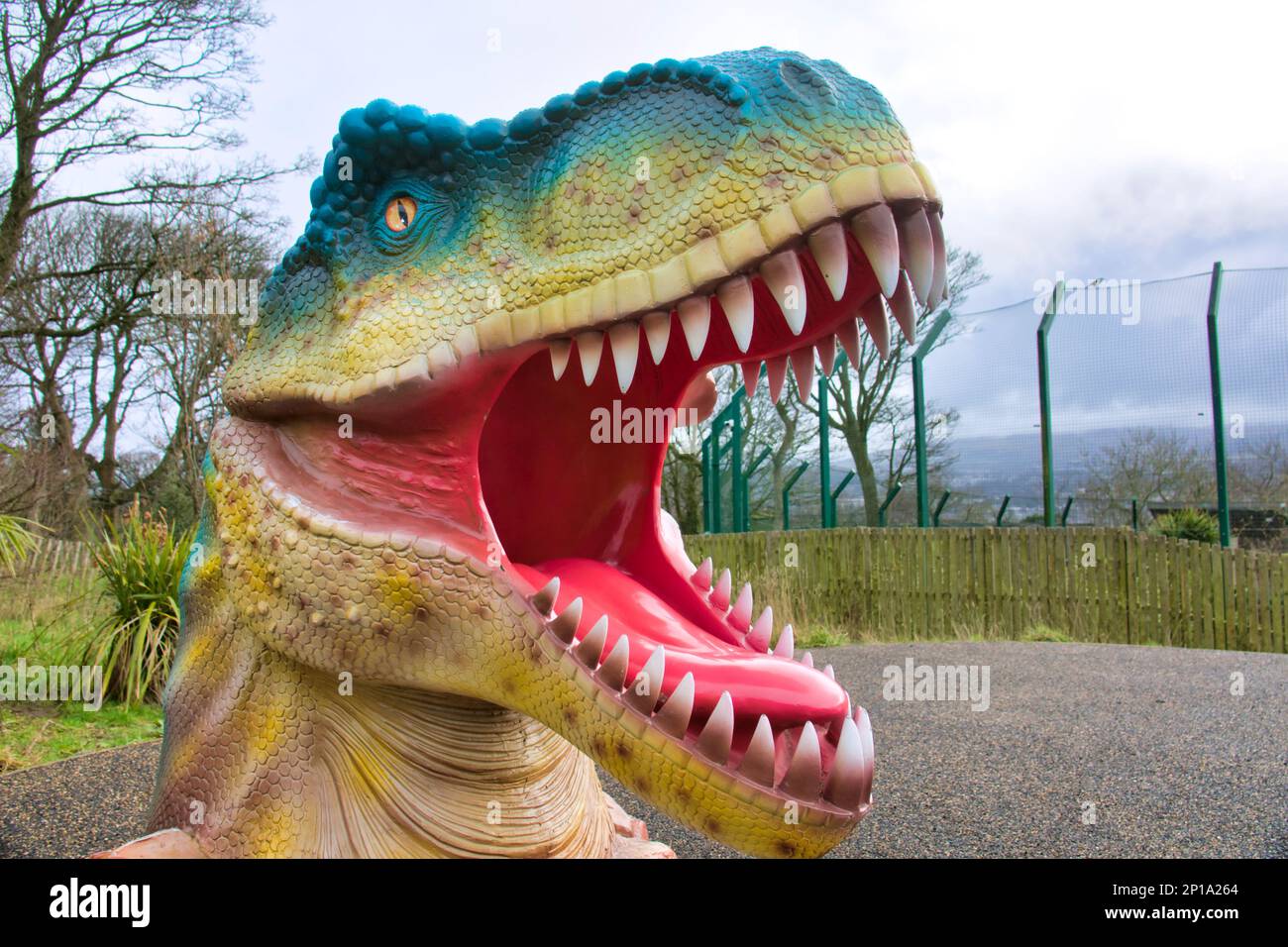 t rex playground lifelike toy head for selfies looking through Stock Photo