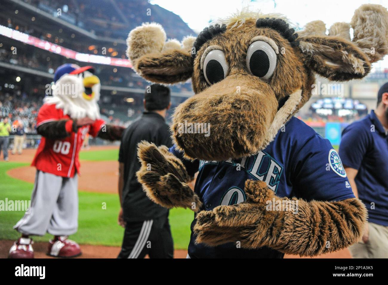 June 05, 2016: Seattle Mariner's mascot, Mariner Moose during the Athletics  at Astros baseball game at Minute Maid Park, Houston, Texas. (Photo by Ken  Murray/icon Sportswire) (Icon Sportswire via AP Images Stock
