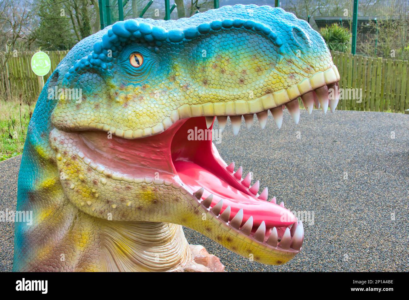 t rex playground lifelike toy head for selfies looking through Stock Photo