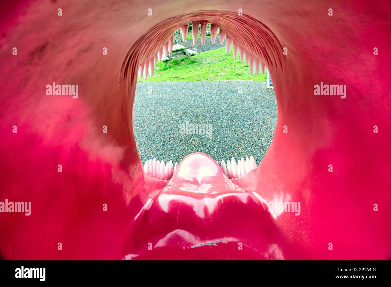 t rex playground lifelike toy head for selfies looking through the jaws ideal Photoshop mask Stock Photo