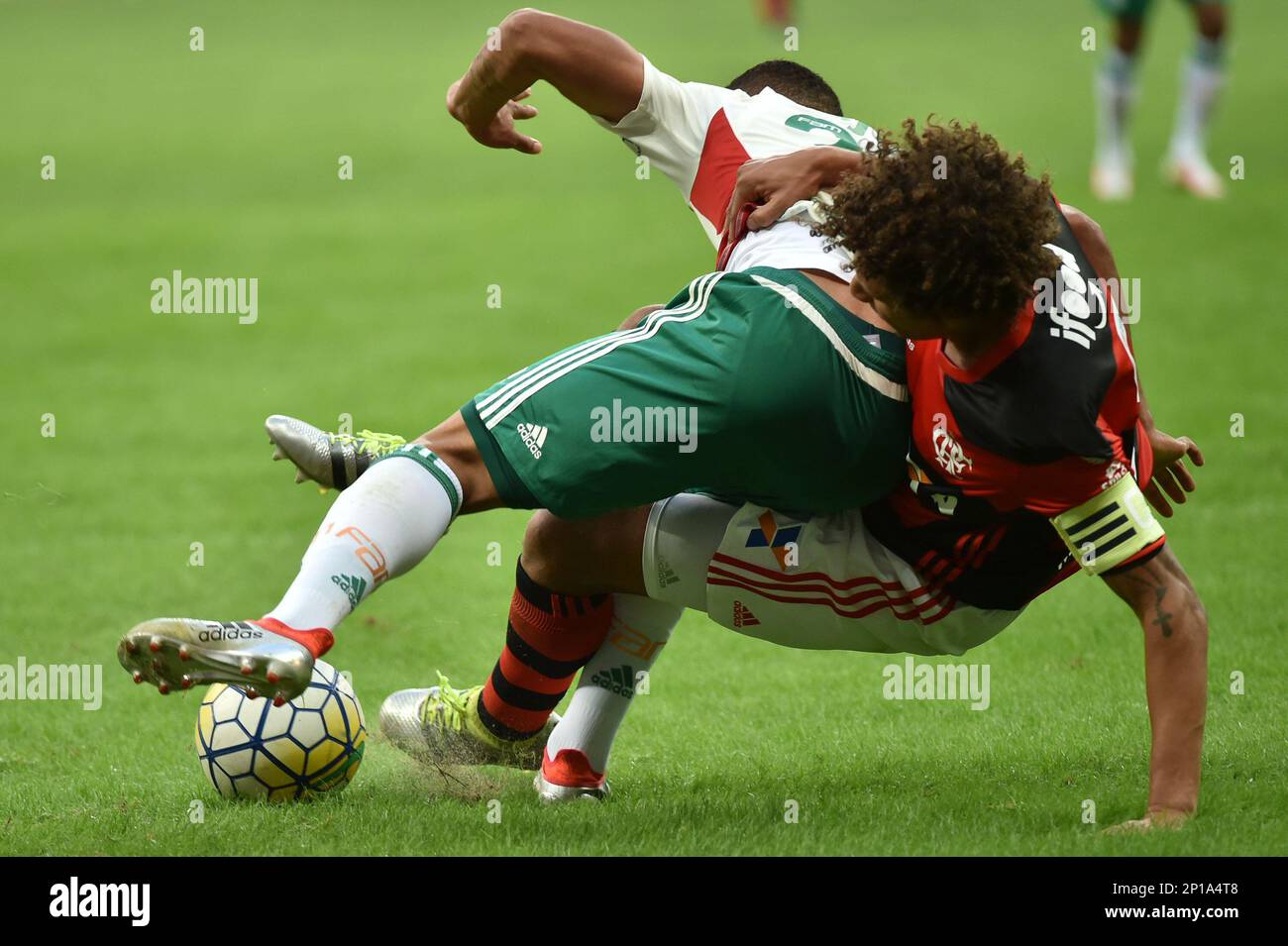 BRASILIA - DF - 05/06/2016 - BRASILEIRO A 2016/FLAMENGO X PALMEIRAS - Jean  do Palmeiras comemora gol de penalti contra o Flamengo durante partida pelo  Campeonato Brasileiro Serie A 2016 no estadio