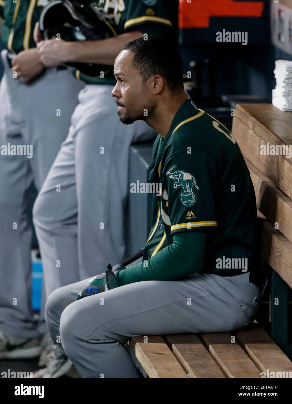 coco crisp hair