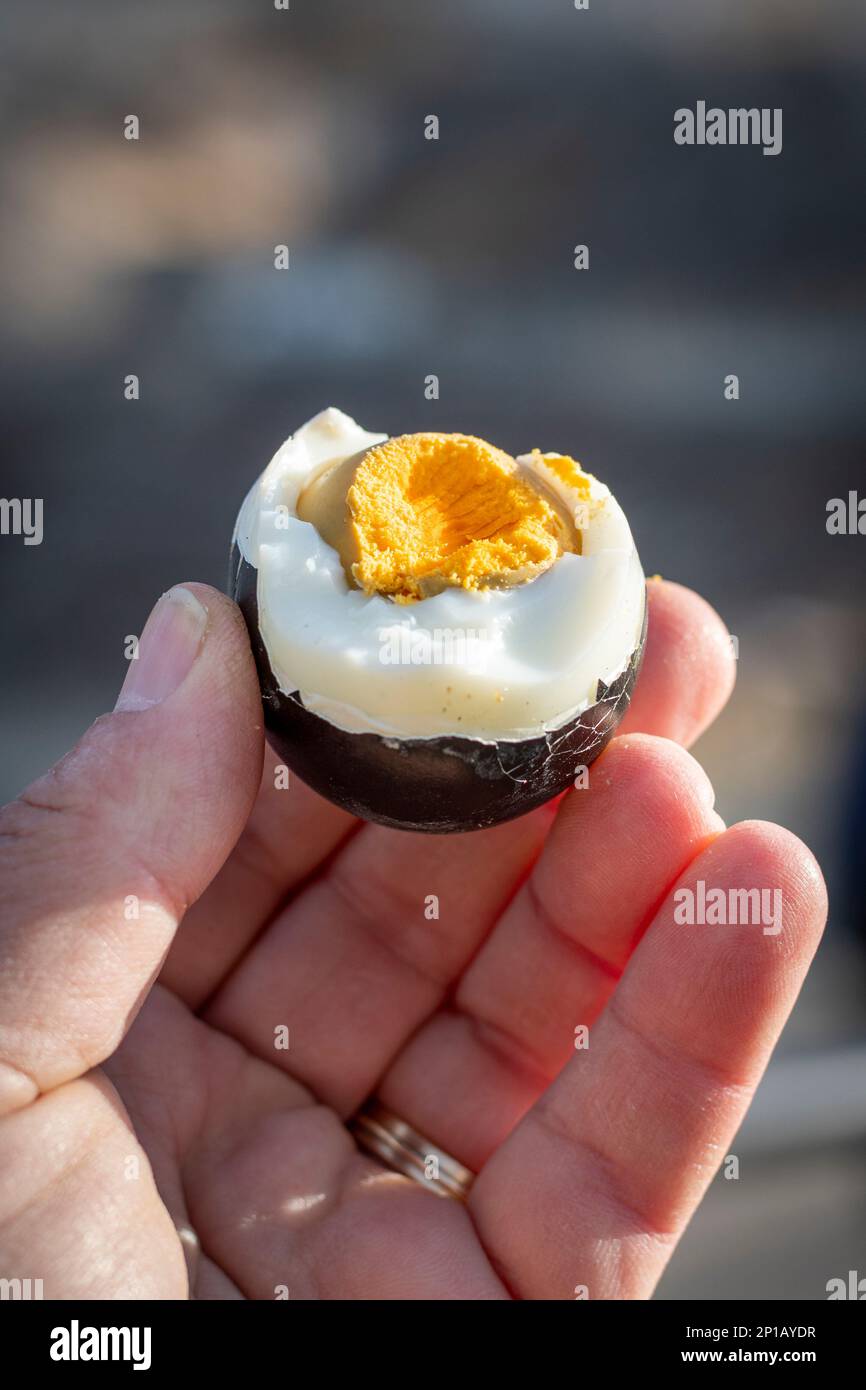 The famous black eggs of the Owakudani Valley in Hakone, Japan, an