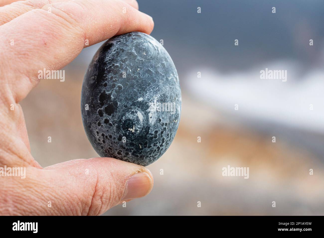 The famous black eggs of the Owakudani Valley in Hakone, Japan, an active volcanic zone Stock