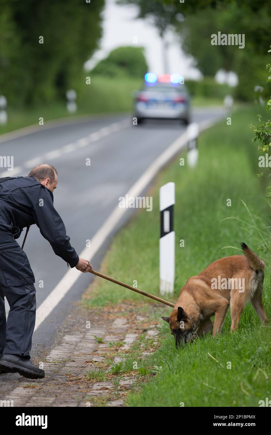 Sniffer dog Sunny and dog handler Ulrich Hitzemann look for traces on a