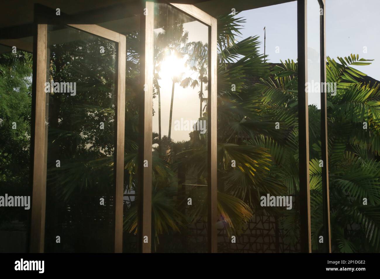 Plant sunlight window toward hi-res stock photography and images - Alamy