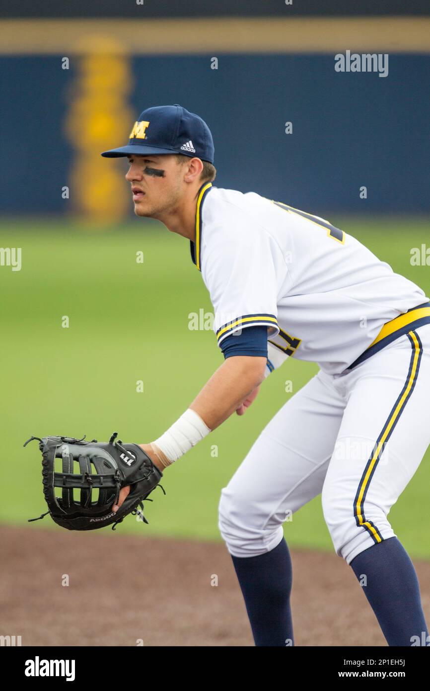 https://c8.alamy.com/comp/2P1EH5J/michigan-wolverines-first-baseman-drew-lugbauer-17-on-defense-against-the-toledo-rockets-on-april-20-2016-at-ray-fisher-stadium-in-ann-arbor-michigan-michigan-defeated-bowling-green-2-1-andrew-woolleyfour-seam-images-via-ap-images-2P1EH5J.jpg