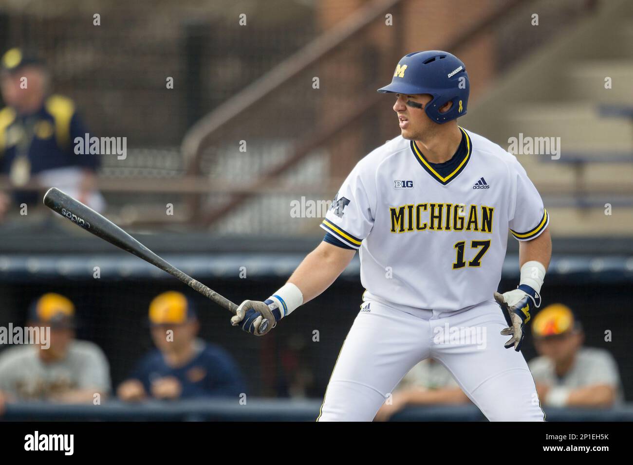 Michigan Wolverines first baseman Drew Lugbauer (17) at the plate