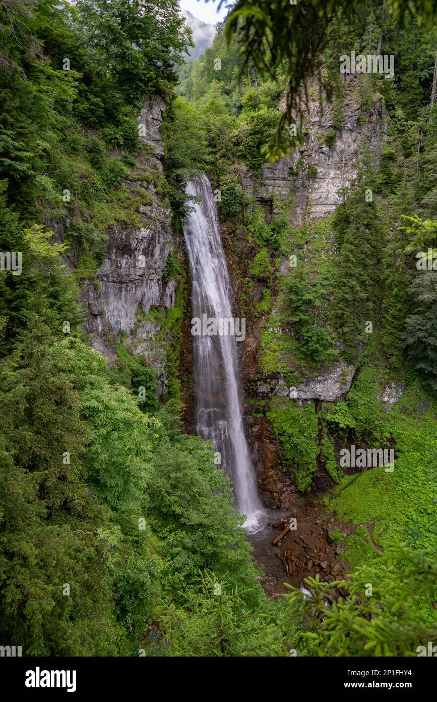 Falling water through tree hi-res stock photography and images - Alamy