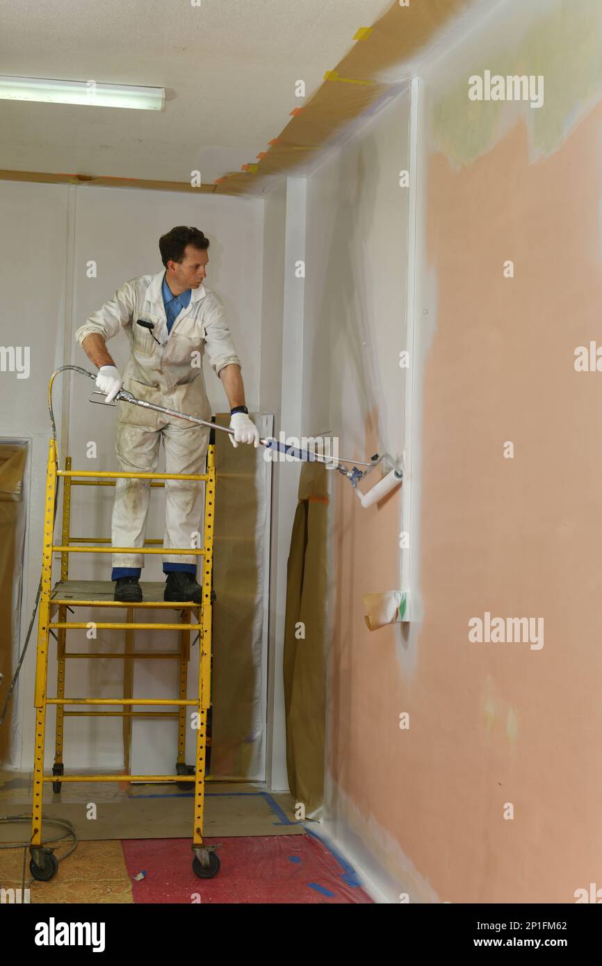 A painter applies an acrylic primer coat to the interior walls of a renovation building near Greymouth, South Island, New Zealand Stock Photo
