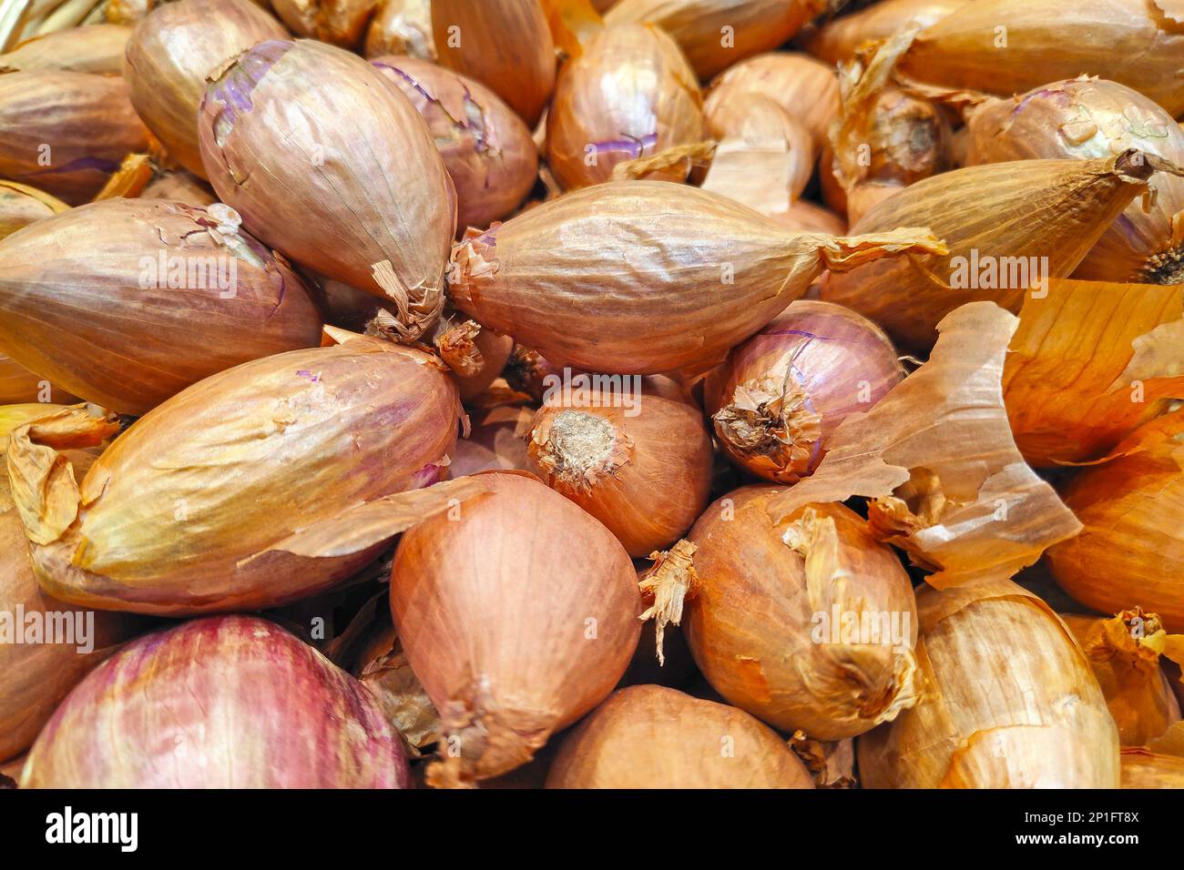 Close-up on a stack of shallots on a market stall. Stock Photo