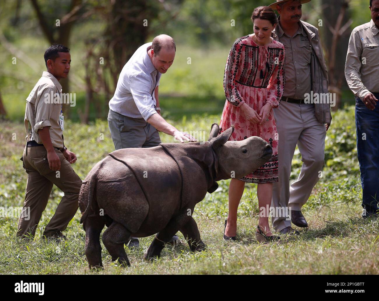 Britain's Prince William touches a baby rhino as his wife Kate, the