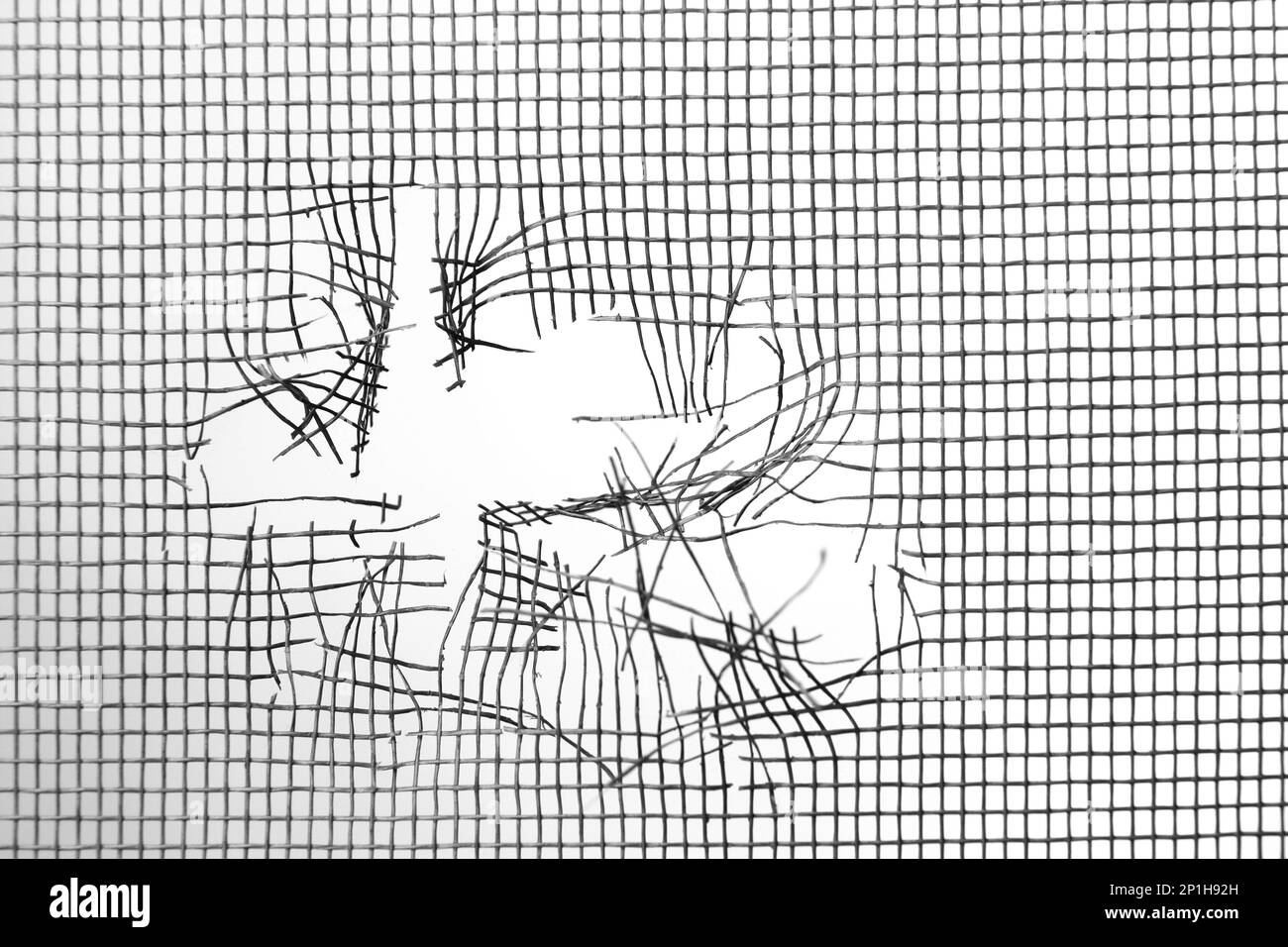 Torn window screen against white background, closeup Stock Photo