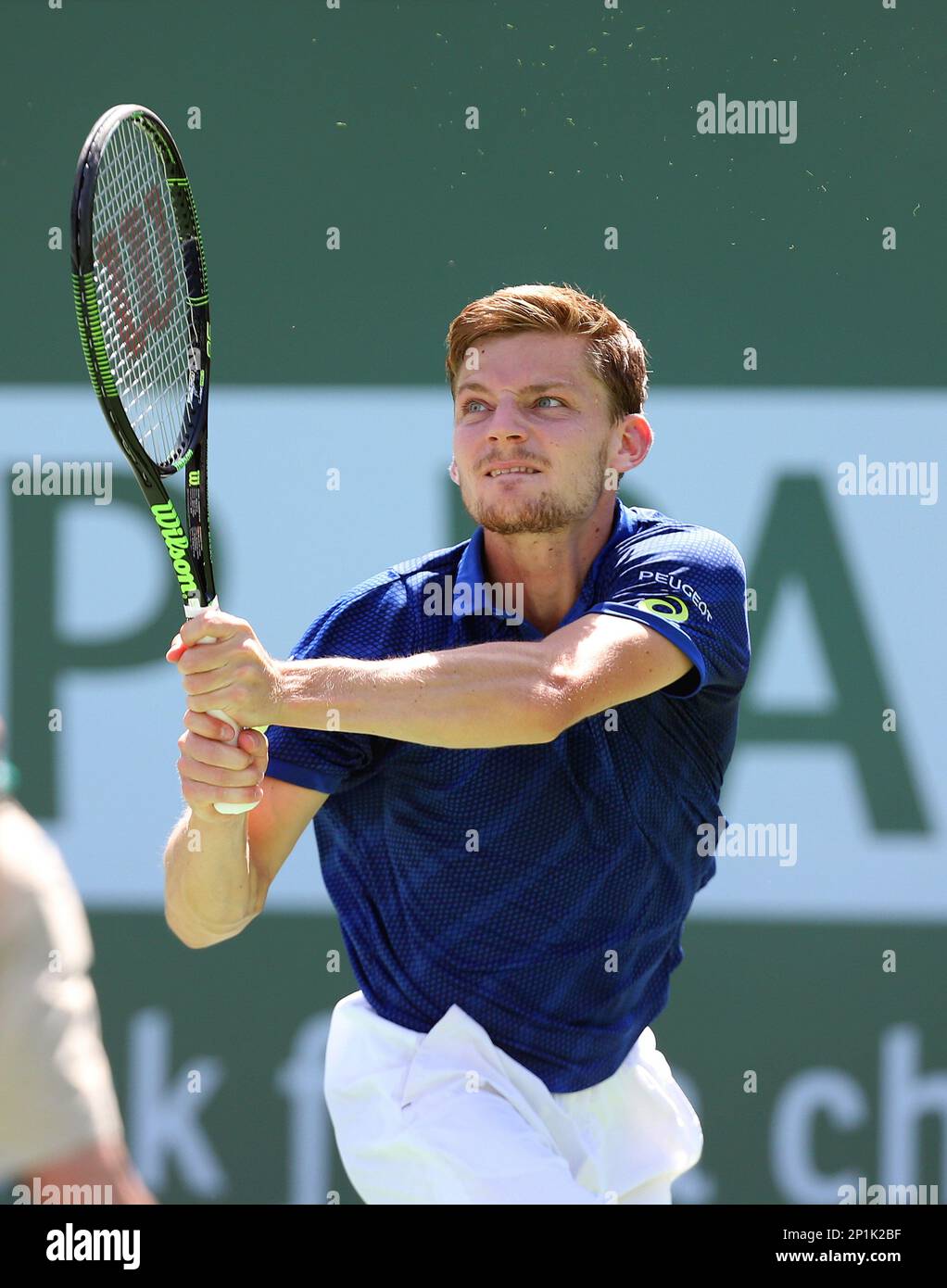 March 19, 2016 David Goffin of Belgium in action against Milos Raonic of Canada in the semi finals of the 2016 BNP Paribas Open at Indian Wells Tennis Garden in Indian Wells,