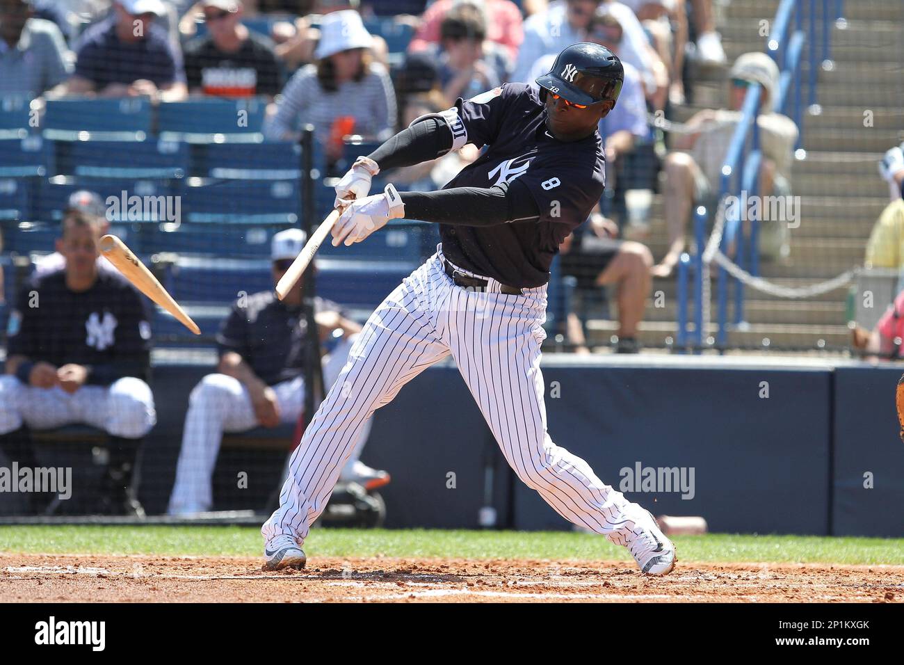 11 March 2016: New York Yankees shortstop Didi Gregorius (18
