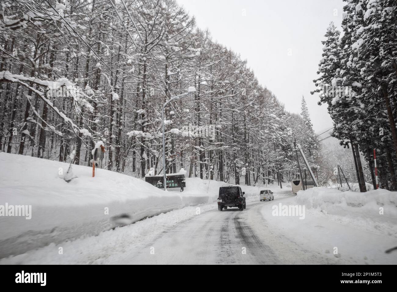 Yamanouchi, Nagano Prefecture, Japan. 15th Feb, 2023. Blizzard conditions causing a winter wonderland scene on the mountain pass to Ryuoo Ski Park on Shiga Kogen near Mount Yakebitai.Nagano prefecture hosted the 1998 Winter Olympic Games and introduced snowboarding to the world as an Olympic-sanctioned sport. The area is popular among Japanese skiiers and international snowboarders alike for the quality of its powder snow and pristine backcountry skiing conditions. (Credit Image: © Taidgh Barron/ZUMA Press Wire) EDITORIAL USAGE ONLY! Not for Commercial USAGE! Stock Photo