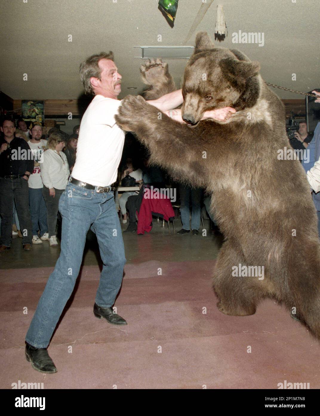 In this 1996 photo a man wrestles a bear named Terrible Ted at the Ponderosa Club in New Hope Ala. Bear wrestling was for many years considered by many to be an