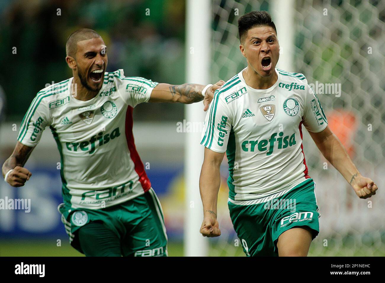 Paulista Feminino: Diante da Ferroviária, Palmeiras busca chegar à