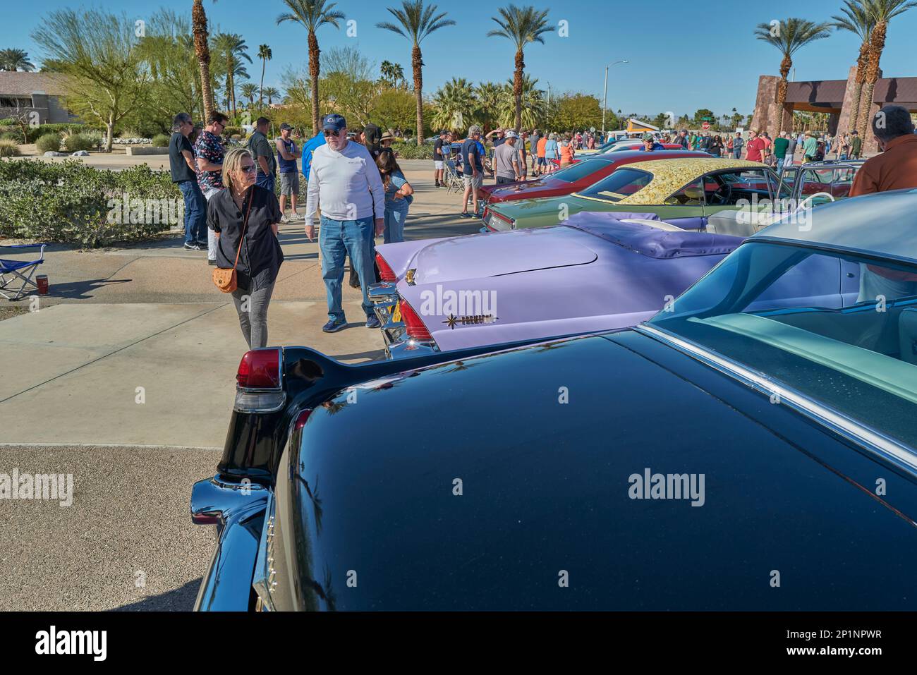Palm Springs classic car show Stock Photo Alamy