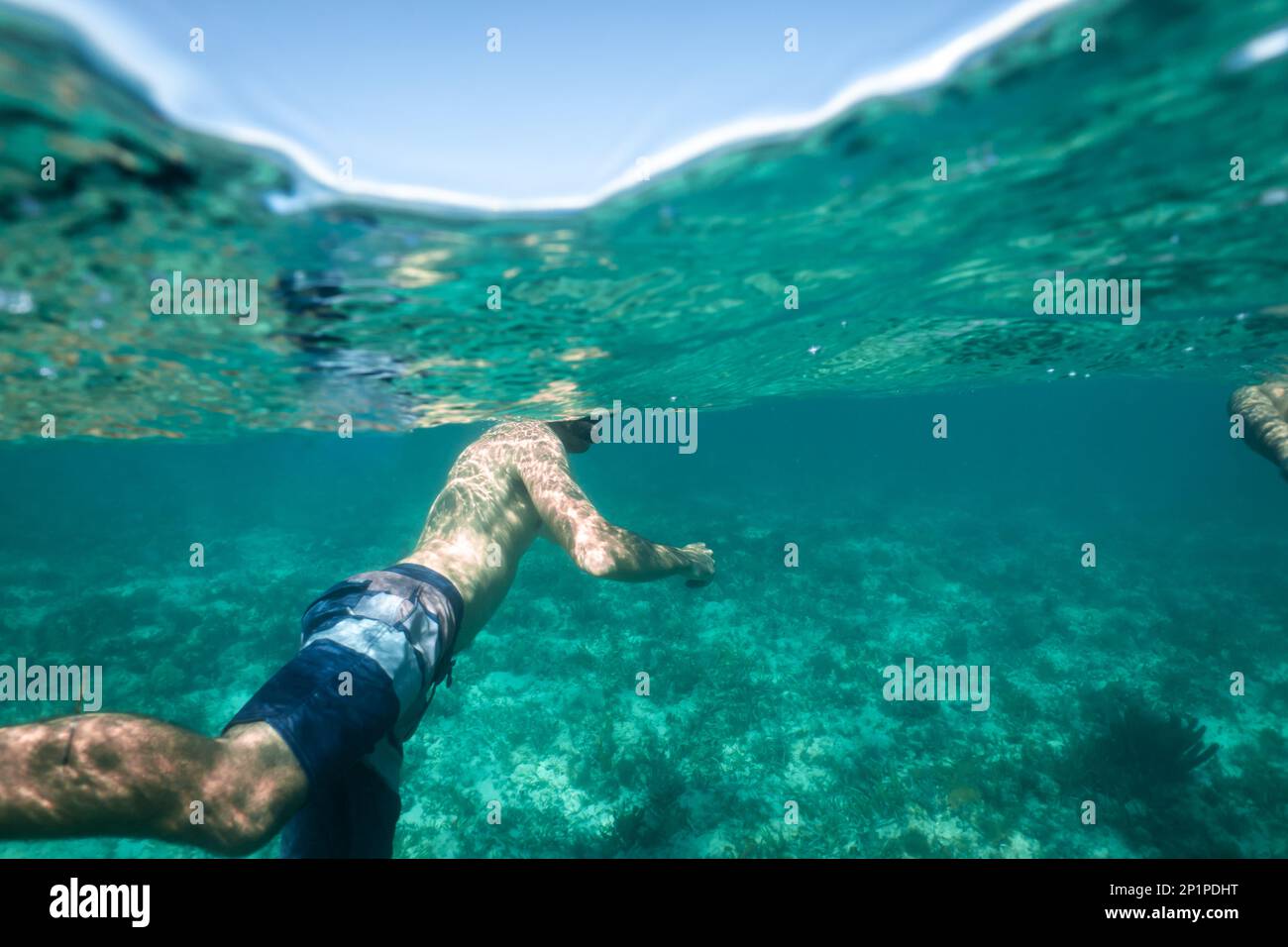 Half underwater photo, or split level photo, of a man snorkelling in the turquoise ocean in Turks and Caicos Islands, Caribbean, over a coral reef. Stock Photo