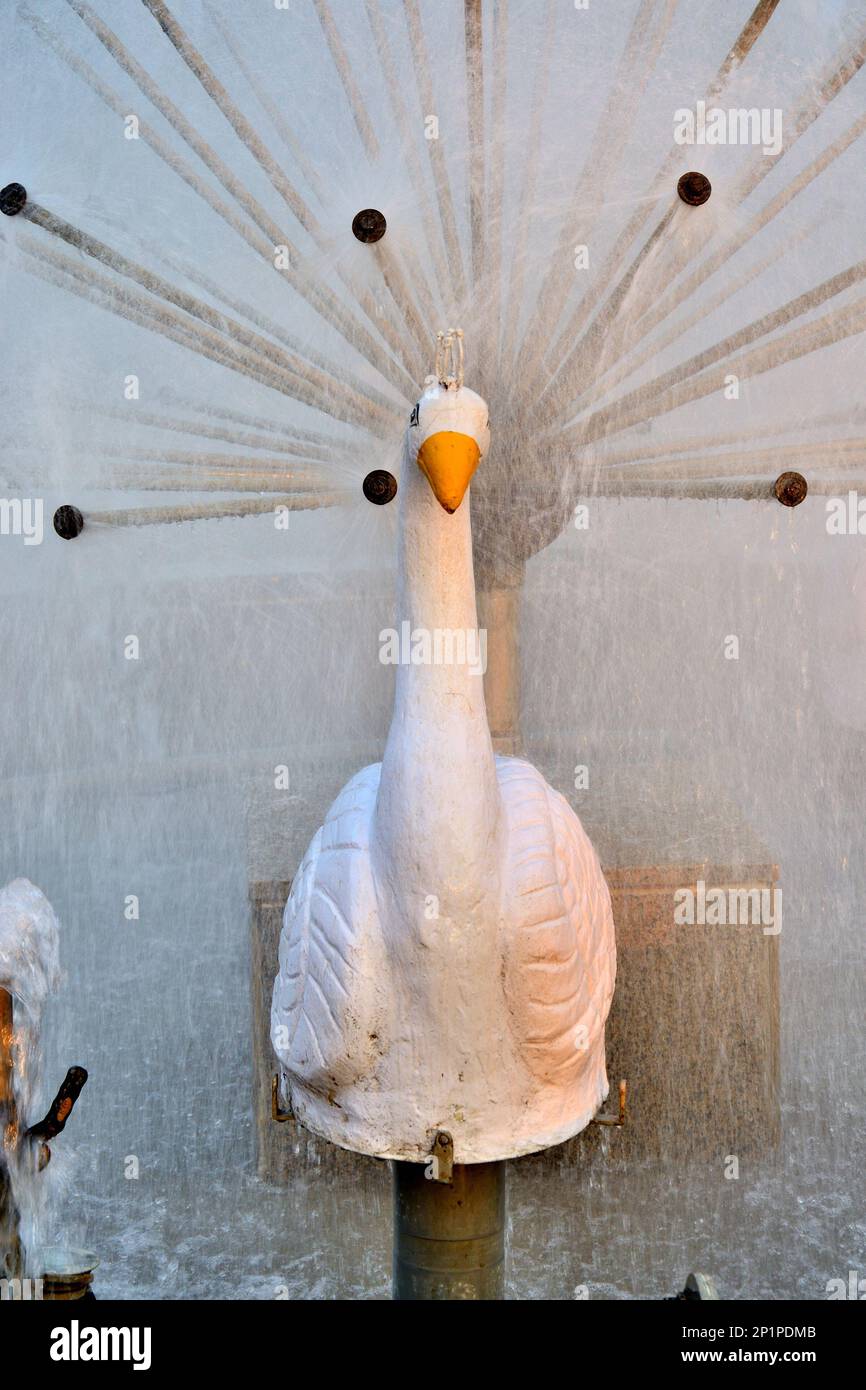 Water fountain at the entrance of the Statue Of Unity complex, tallest ...