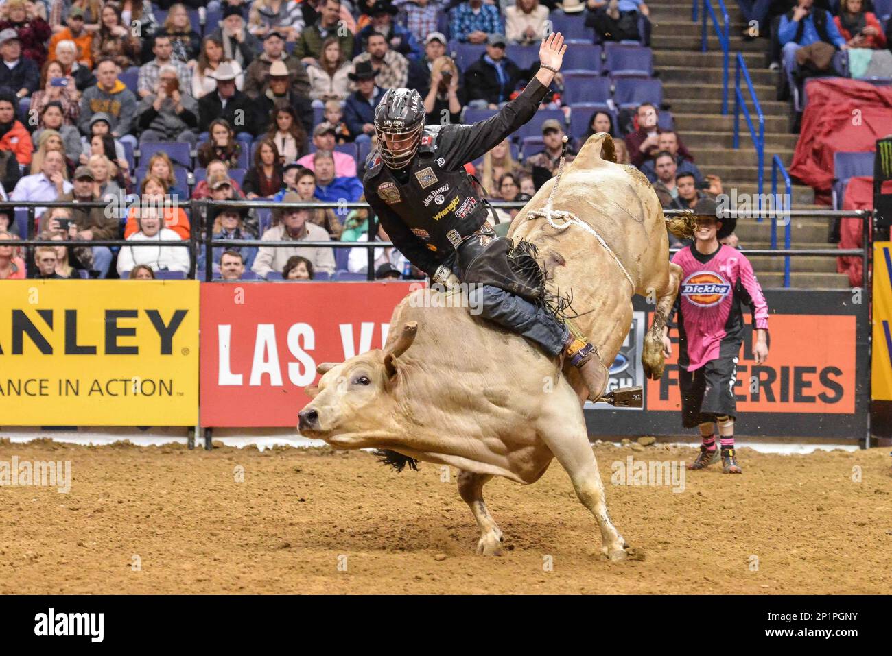 Feb. 14, 2016 St. Louis, Missouri, U.S professional bull rider