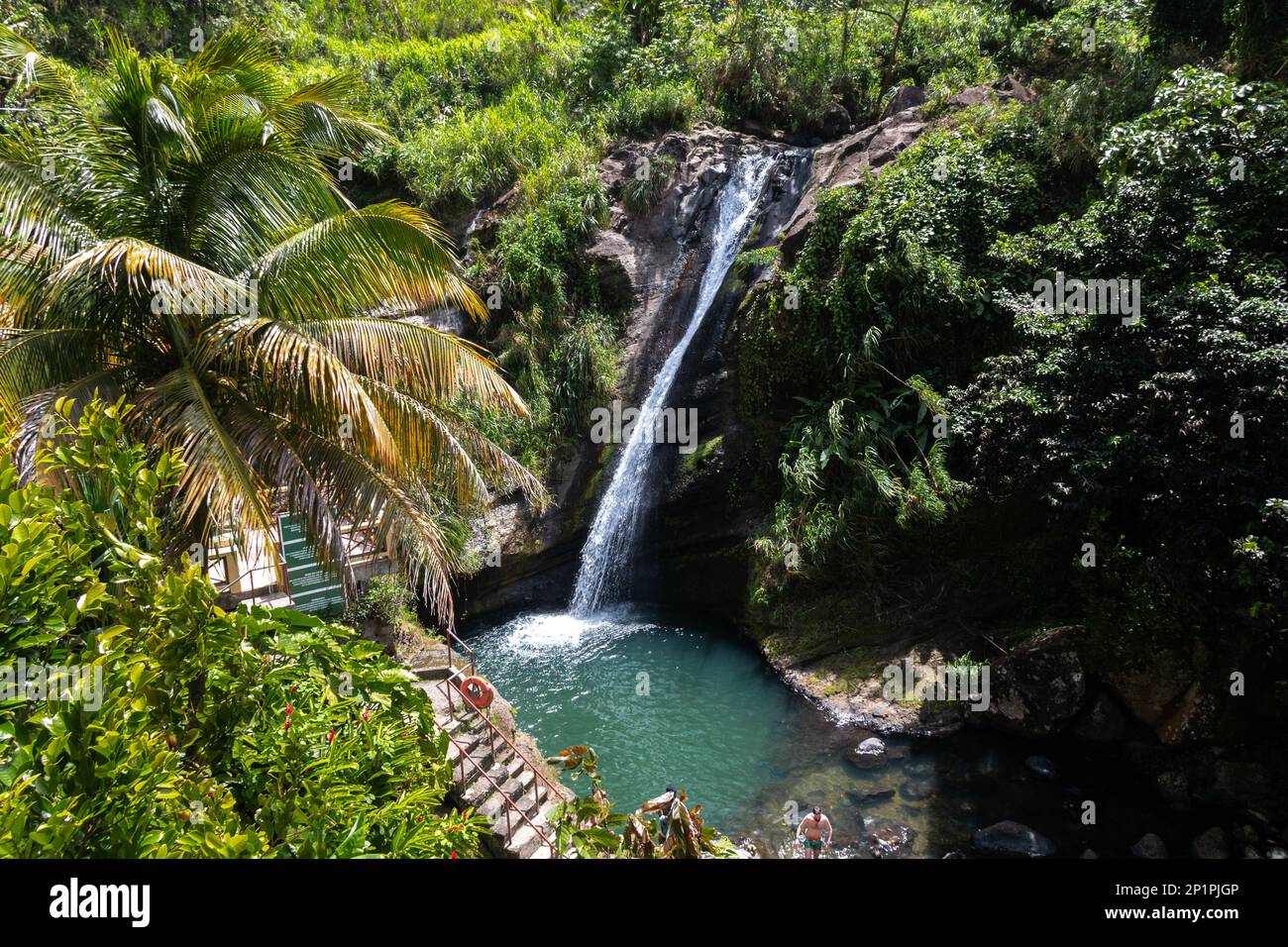 Concord Falls, Grenada - March 3 2023: Tourists swim in the flowing water at Concord Falls, a local waterfall on the southern Caribbean island. Stock Photo