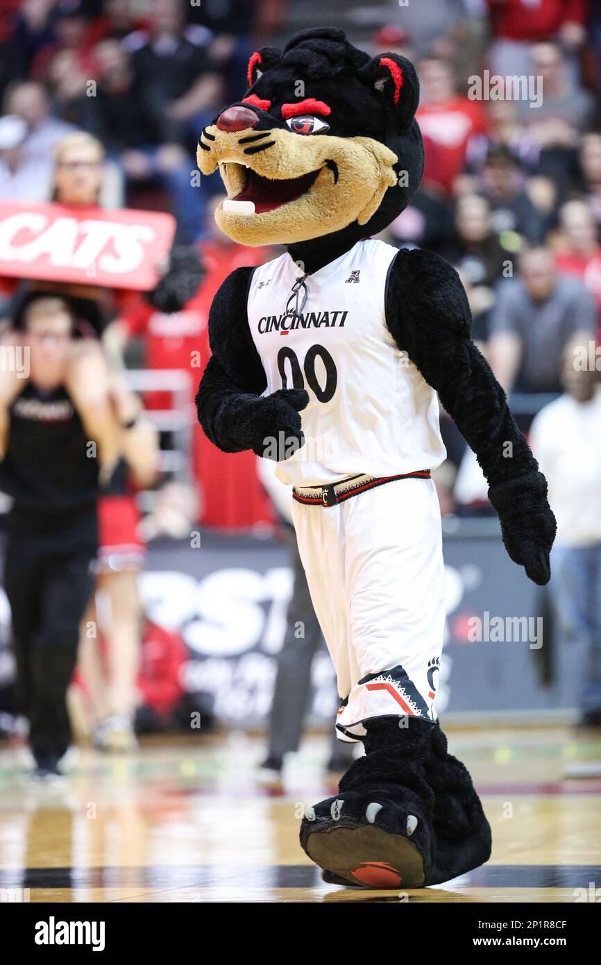 February 4, 2016: The Cincinnati Bearcat cheers during the game against ...