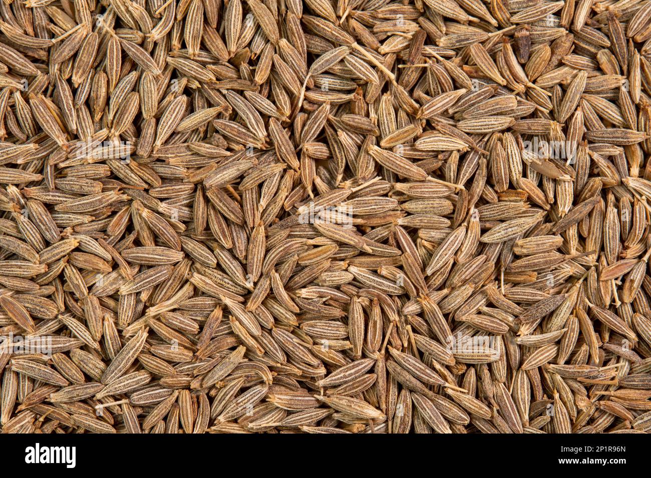 Dried cumin spice seeds background. Dry seasoning cumin. Spices and