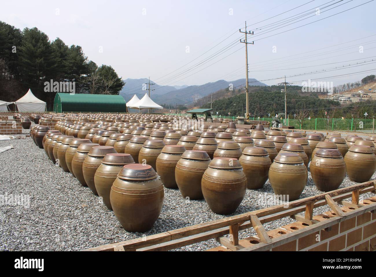 Traditional Korean fermentation jars in country market Stock Photo Alamy