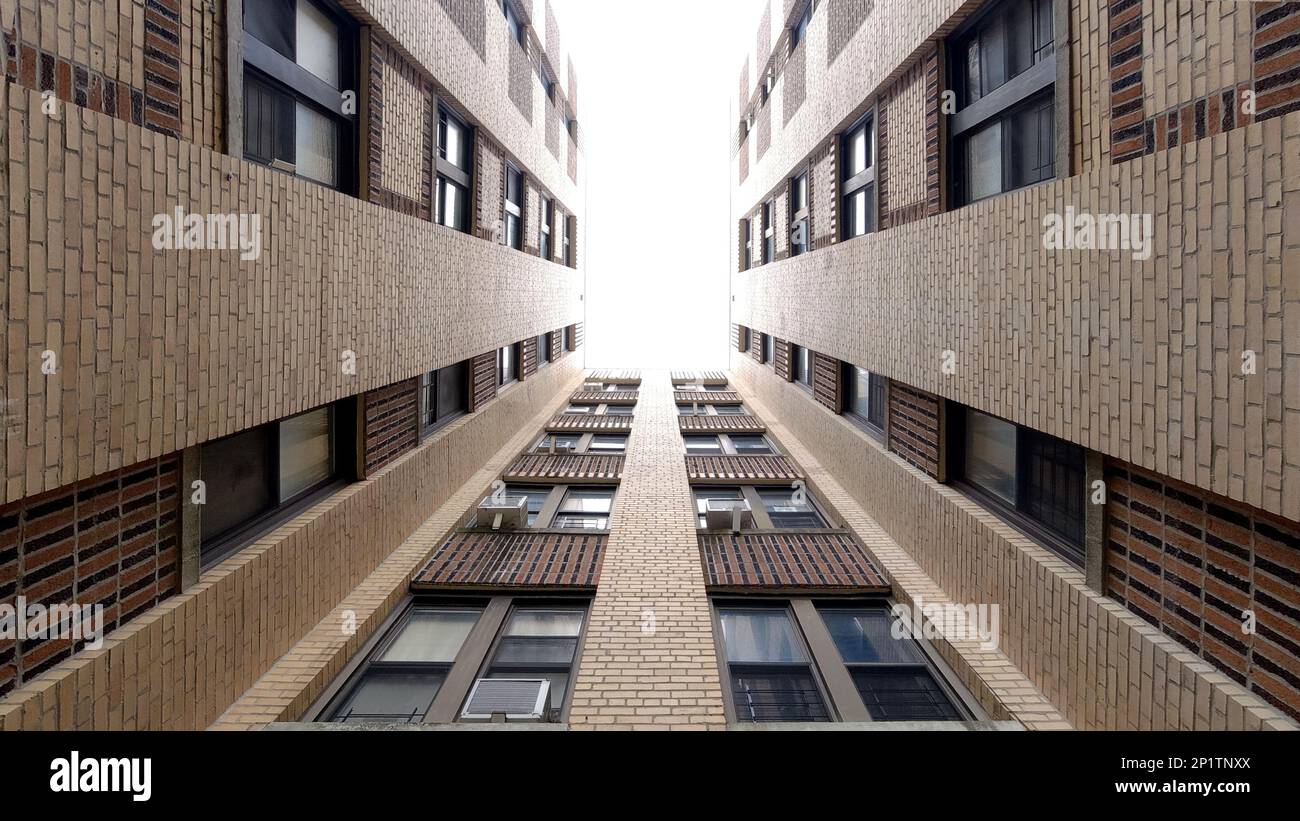 Upward looking perspective of cloudy sky through a framing of