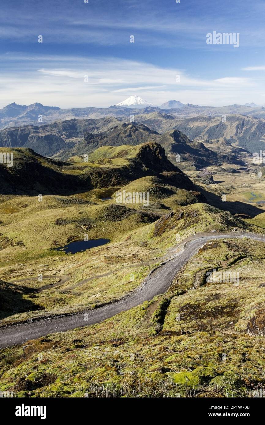 View of road through mountain pass, with snow capped volcano in distance, Papallacta Pass, Andes, Ecuador Stock Photo