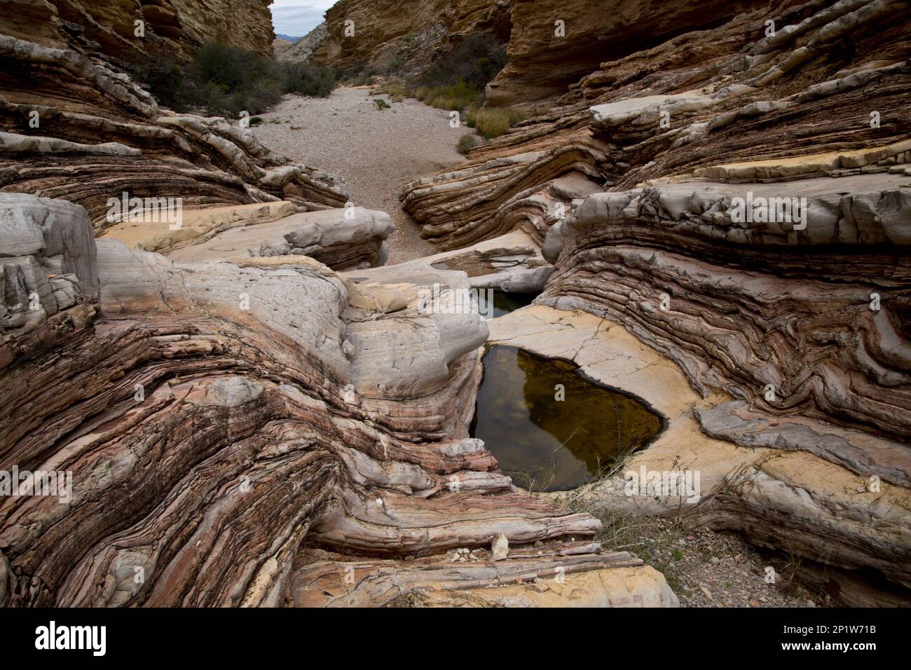 Rock strata and canyon with water in eroded depression on bedrock, Ernst Tinaja, Big Bend N.P., Chihuahuan Desert, Texas, U.S.A. Stock Photo